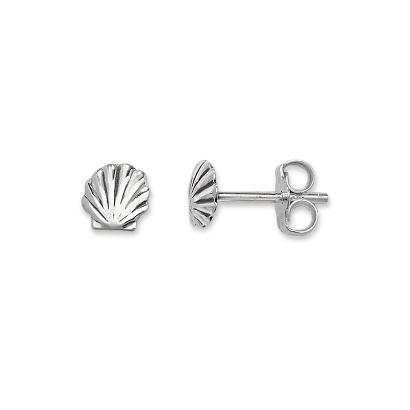 Shell Silver Stud Earrings